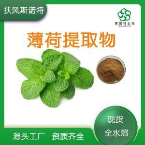 薄荷提取物