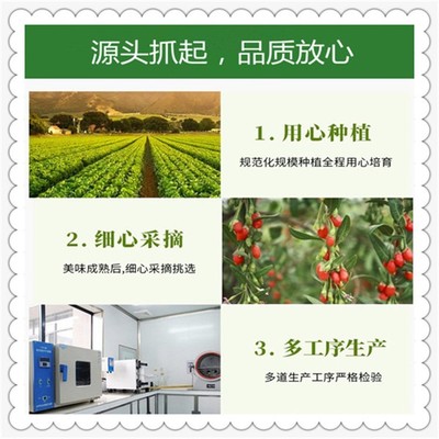 山楂葉濃縮粉 植物提取物 山楂葉粉