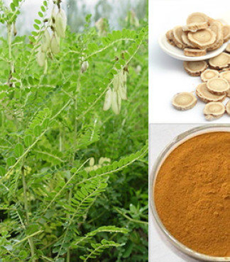 【廠家直供黃芪提取物_增強免疫功能價格|圖片】-