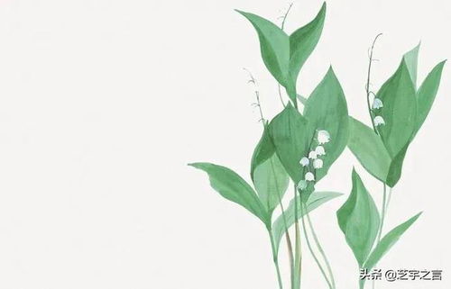 大自然的美麗饋贈(zèng) 植物提取物