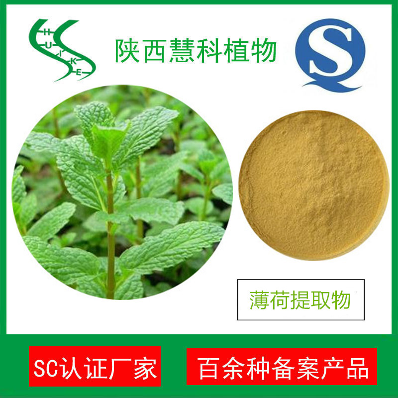 薄荷提取物20:1 天然薄荷粉 QS認(rèn)證 產(chǎn)地直銷(xiāo)