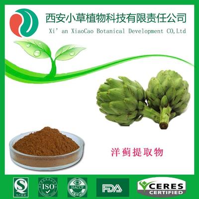 洋薊提取物洋薊素生產(chǎn)廠家現(xiàn)貨直供價(jià)格 品牌:西安小草 西安小草
