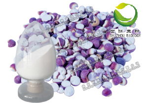 供應(yīng)積雪草總苷,純天然植物提取物,優(yōu)質(zhì)產(chǎn)品,醫(yī)藥原料