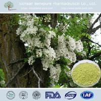 成都地區蘆丁植物提取物批發價格分析與市場概況