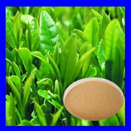 紅茶茶多酚 價格、型號規(guī)格與植物提取物特性詳解