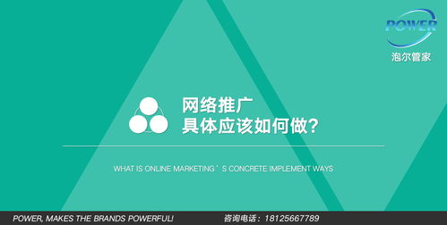 網絡推廣與網絡工程 策略、實施與優化